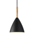 Suspension métal et bois Ø 20 cm noir
